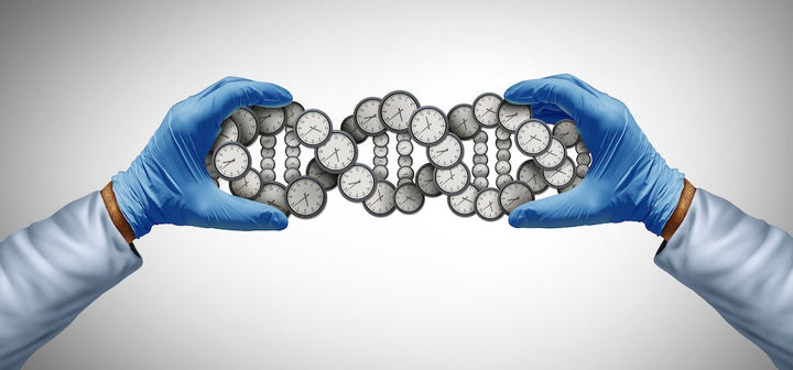 Altos Labs forscht im Bereich Zellverjüngung