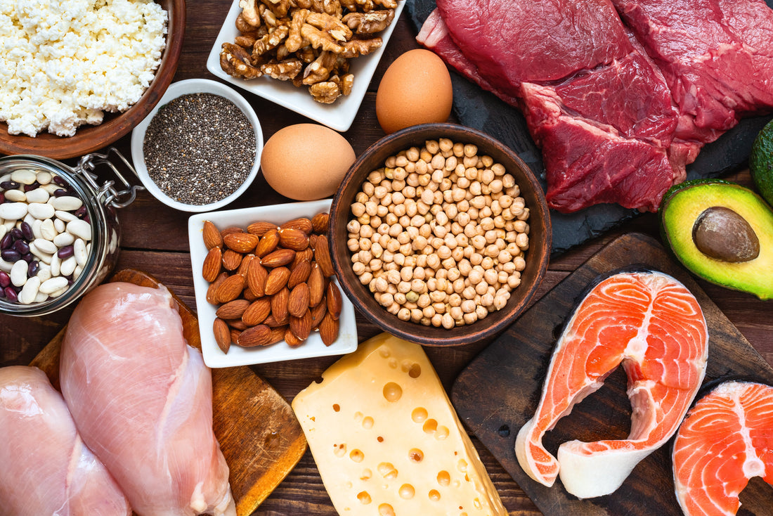 Proteostase: Die Aufrechterhaltung der zellulären Proteinbalance, wichtig für die Langlebigkeit.