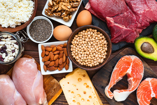 Proteostase: Die Aufrechterhaltung der zellulären Proteinbalance, wichtig für die Langlebigkeit.